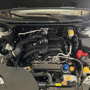 Cyclone Carbon Cold Air Intake — 2024+